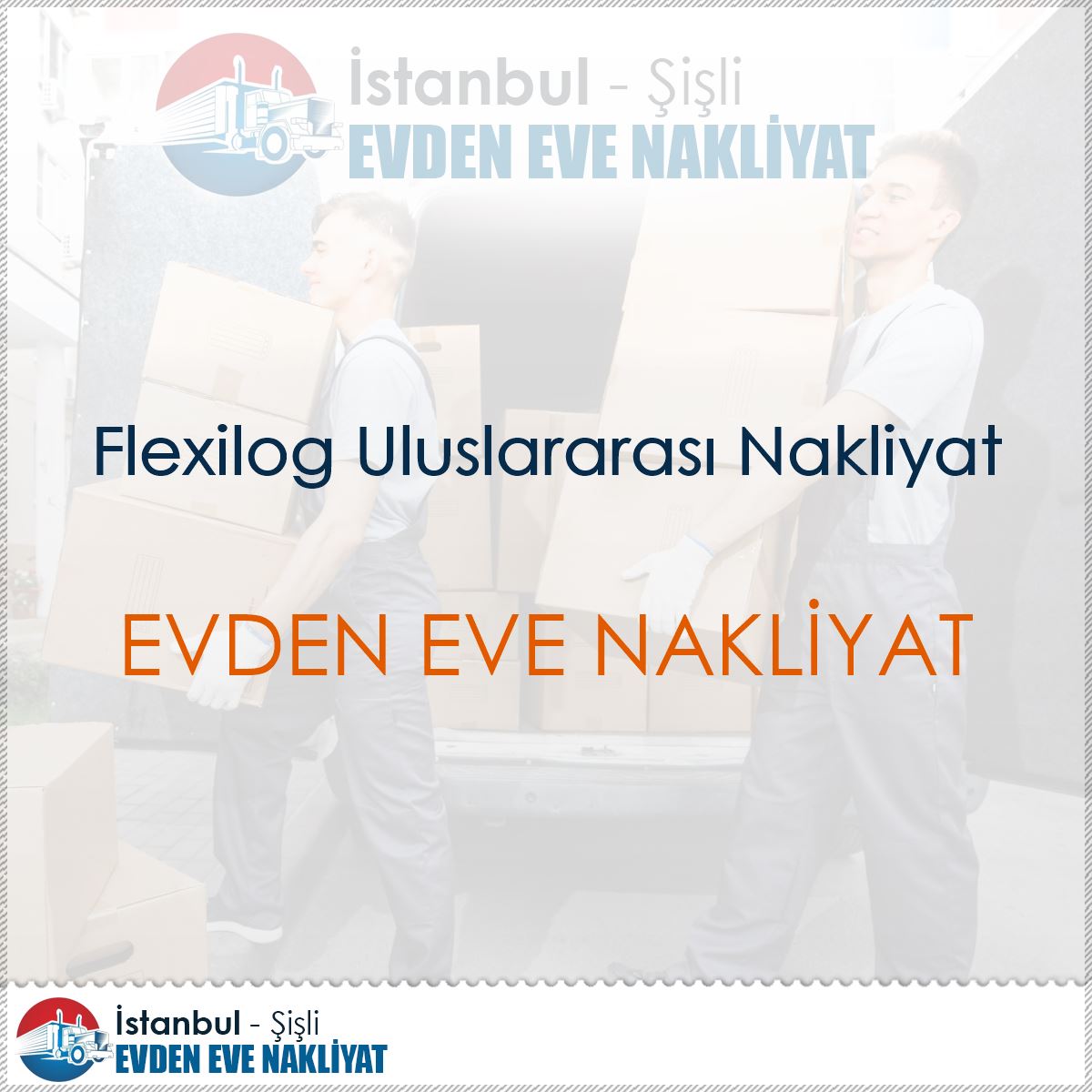 Flexilog Uluslararası Nakliyat logo